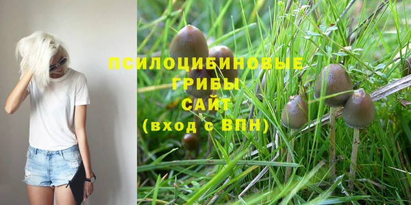 тгк Аркадак