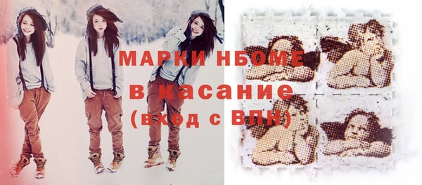 прущие грибы Балабаново