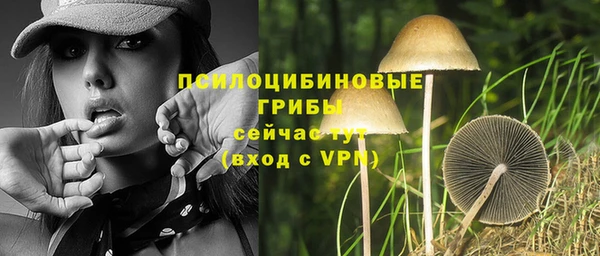 apvp Инсар