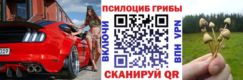 где купить наркотик  Строитель  Псилоцибиновые грибы мицелий 